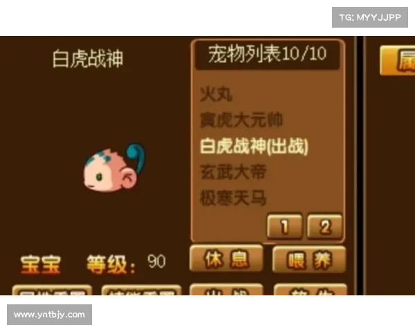 战斗力爆表 造梦西游3高效技能搭配攻略助你轻松制霸游戏